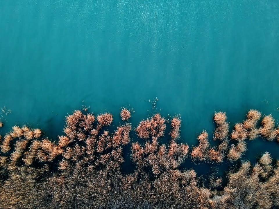 Hello Balaton Daire Alsóörs Dış mekan fotoğraf